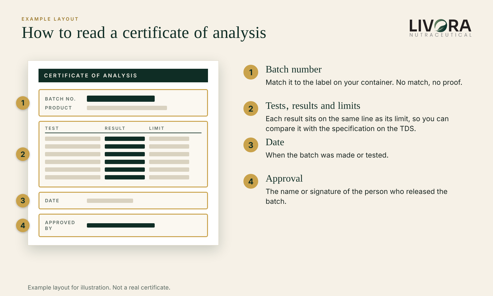 An example layout of a certificate of analysis with four areas marked: batch number, tests with results and limits, date, and approval