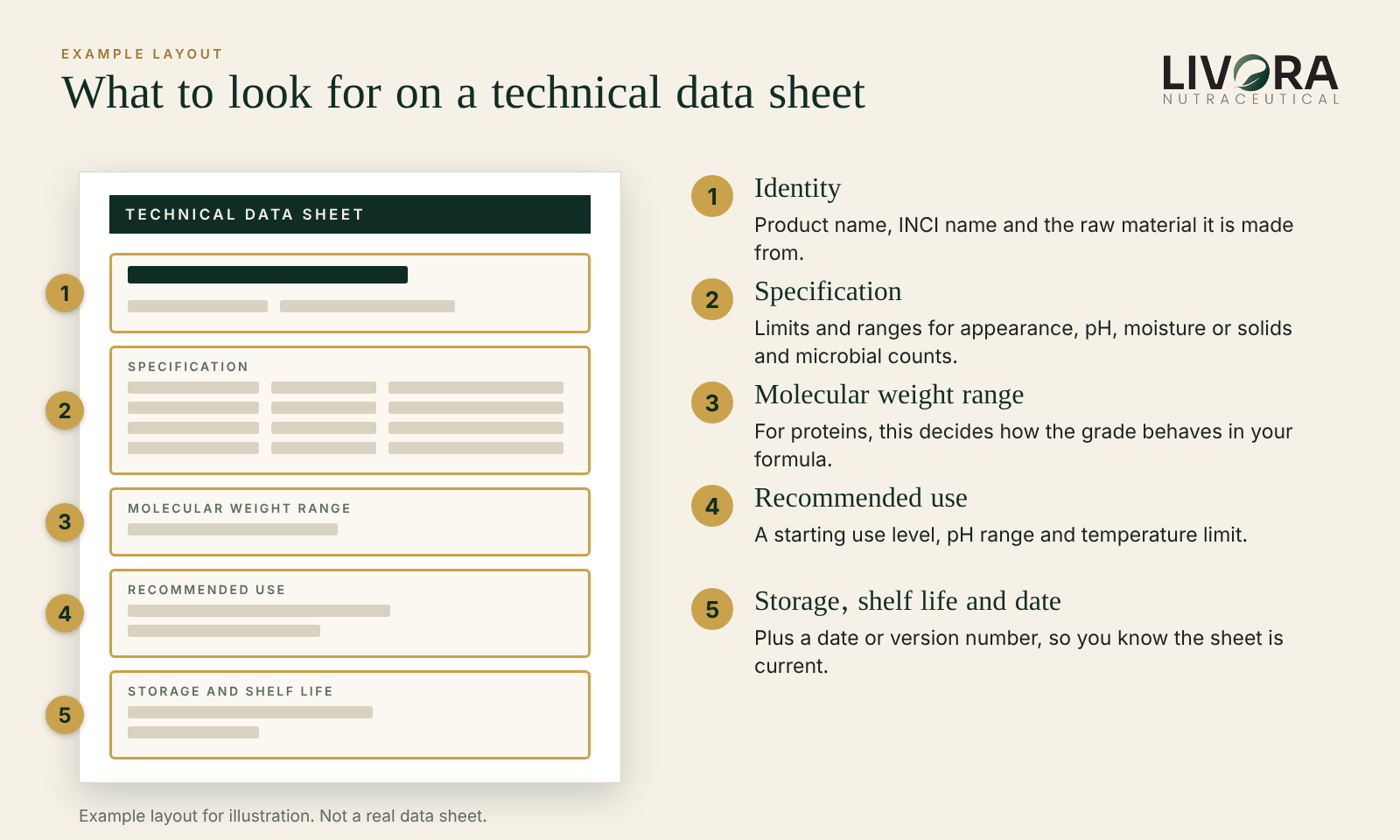 An example layout of a technical data sheet with five areas marked: identity, specification, molecular weight, recommended use, and storage