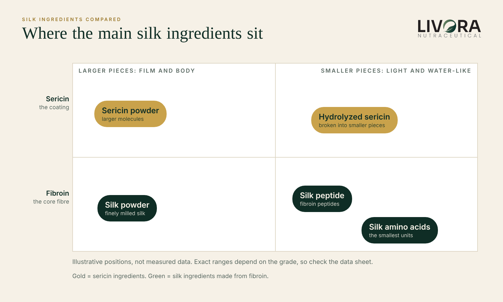 A 2x2 chart placing silk ingredients by source (sericin coating or fibroin core) and by size: sericin powder and silk powder are larger, hydrolyzed sericin, silk peptide and silk amino acids are smaller