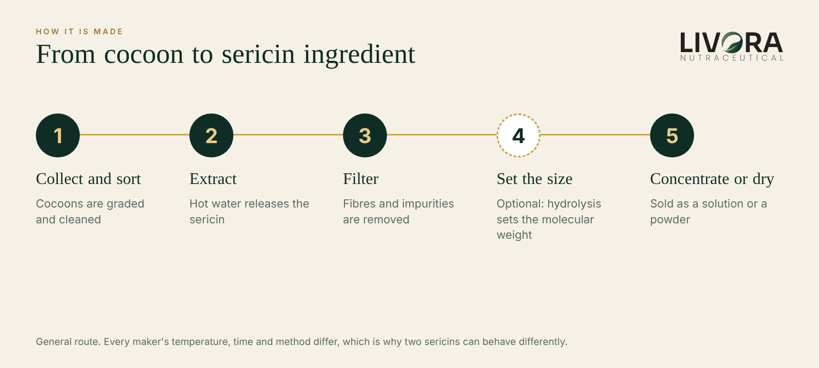 Five steps from silk cocoon to sericin ingredient